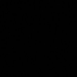 Meet your Posher, Steve